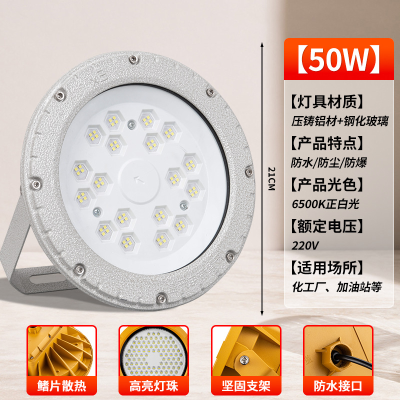 [그레이 라운드 EX 방폭등] 50W