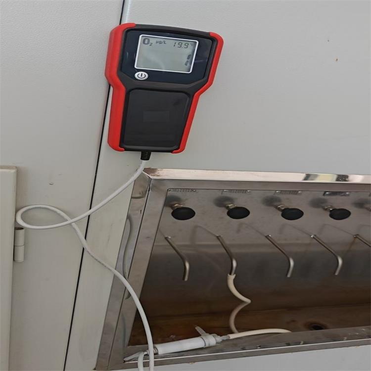 便携式溶解氧仪  型号:SM01-OX-12BGI 库号：M397691