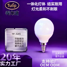 LED球泡灯;其他室内灯具;其他LED光源