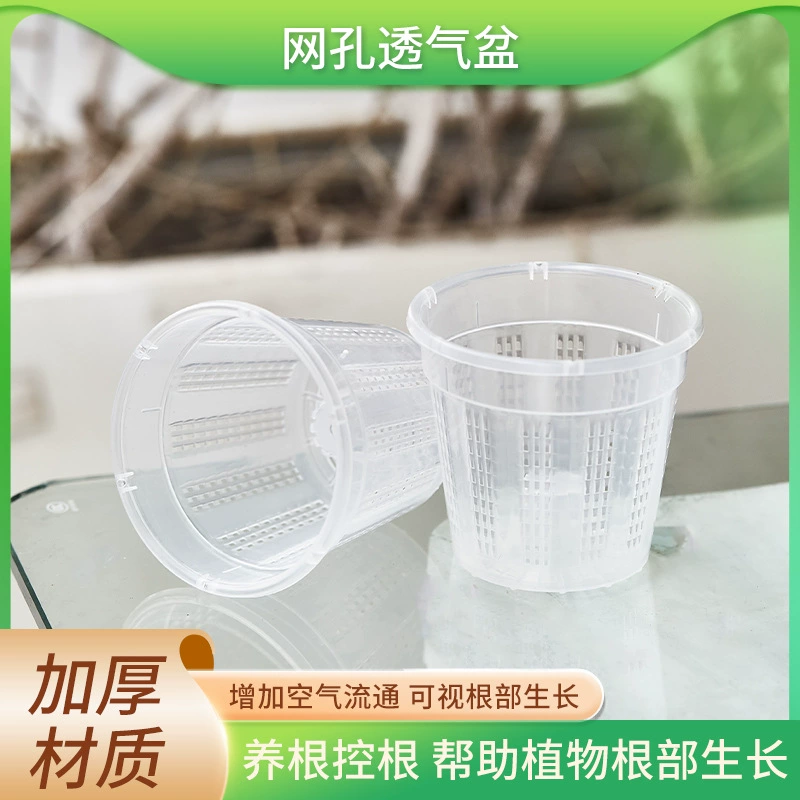 Полые воздухопроницаемые цветочные горшки Воздушная колонка полупрозрачные корни зеленые цветы бабочки орхидеи против гнилых корней