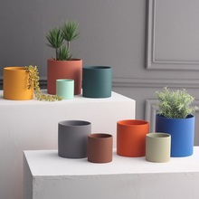 Winssմɻ莧бP̖G}mℓF