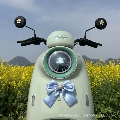 Aima – Auto Parts and Accessories Scooter Decoration