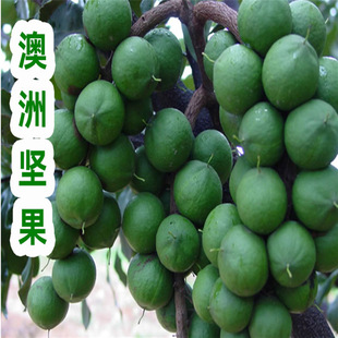 ���ވԹ���� ���һ̖������ˮ����޽����Ϸ��Nֲ������ �Y����
