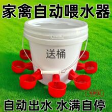 鸡鸭鹅饮水碗家禽自动喂水器喂食器带桶雏鸡鸟用饮水器养殖饮水器