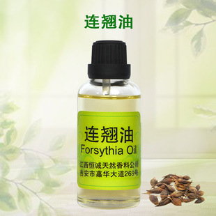 ����ֲ�ﾫ�� ��ș���B�N��