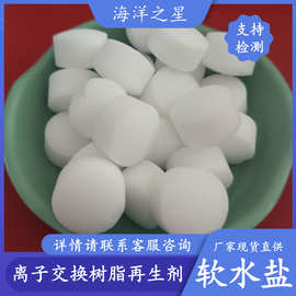 现货批发工业级软水盐 工业软水盐生产厂家 离子交换树脂再生剂