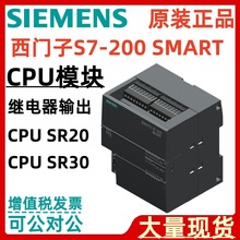 西门子plc控制器6ES7288-1SR20-0AA1 6ES7288-1SR30-0AA1 CPU模块