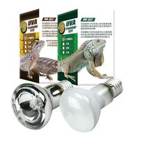 ��������UVA�ӟ�؟�������䱣�؟����x�՟���B��UVB�񱳟�