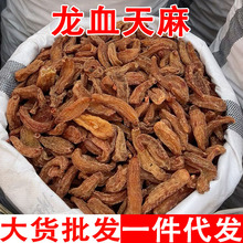 龙血天麻 红天麻云南龙血天麻红天麻昭通天麻红天麻批发代发