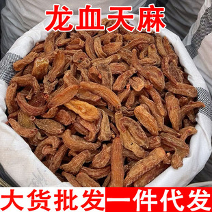 ��Ѫ���� �t���������Ѫ����t������ͨ����t�������l���l