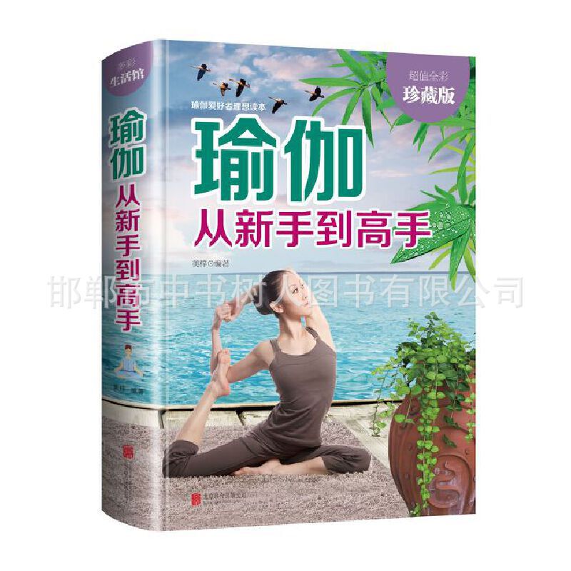Yoga from novice to master weight loss slimming Yin yoga Pilates training tutorial female fitness shaping guide
