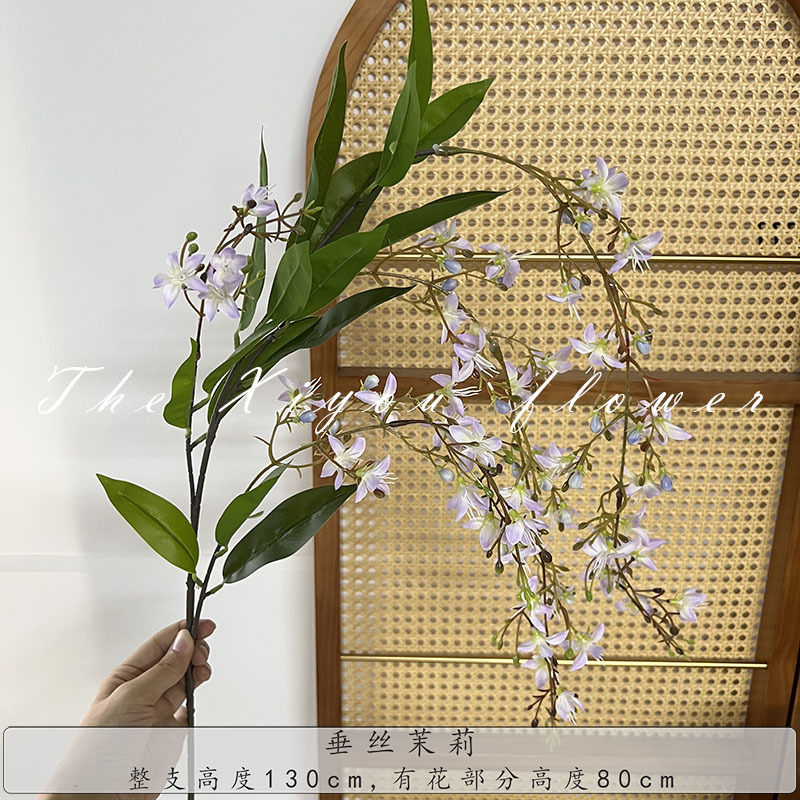 뉴 드레이핑 자스민-퍼플