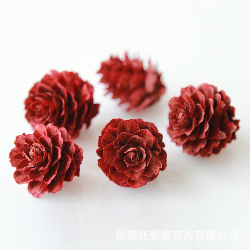 Quả thông nhỏ nhỏ màu đỏ 2-3cm (một gói 20 gram, khoảng 9 chiếc,)