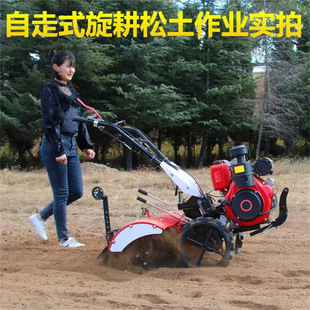 ����195�����΢���C ɽ�ع��@���������C ����ʽ��������C�S��