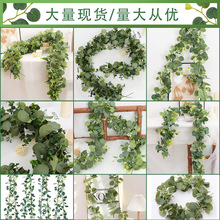 �¿��������Gֲ�ȼ����ٗl�Ҿ��b�����~�����Gɫֲ������ٗl