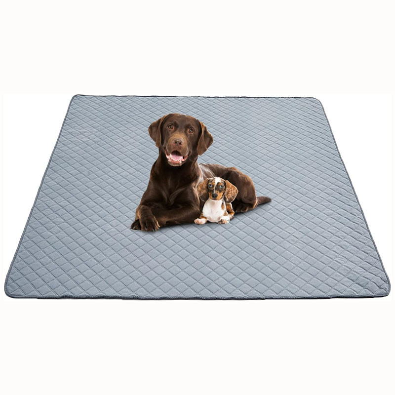 Pet Supplies Dogs Cats Product