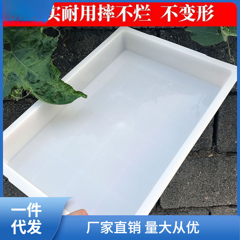 Laboratory Tray Plastic Cold Dish Braised Vegetable Tray White Duck Tray Barbecue Restaurant Wholesale Square Commercial Changqi