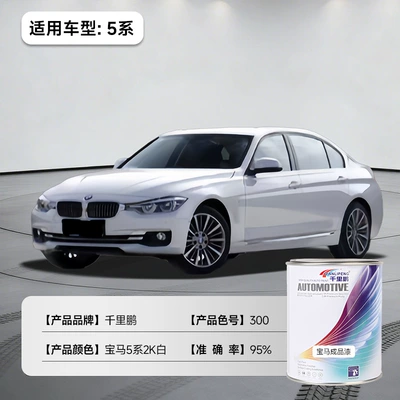 Paint, Car Refurbishment, Color Change, Avtomobil boyası - bmw-5-series-2k-white-300-1lcan-liquid-paint