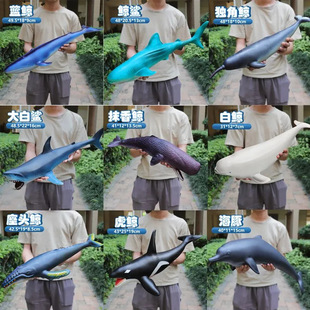 ��̖����ܛ�z�����������ﺣ�����ģ���L�~�����~��ͯ������l