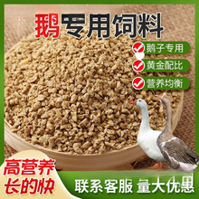 S80ZιZСZ_ZwȫrBֳЇ