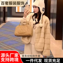 wnˮëﶬ¿pݱůhƤëë̿