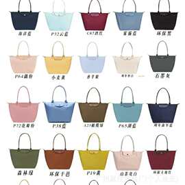 法国龙骧饺子包70周年拼色刺绣手提单肩包百搭大容量通勤刺绣设计