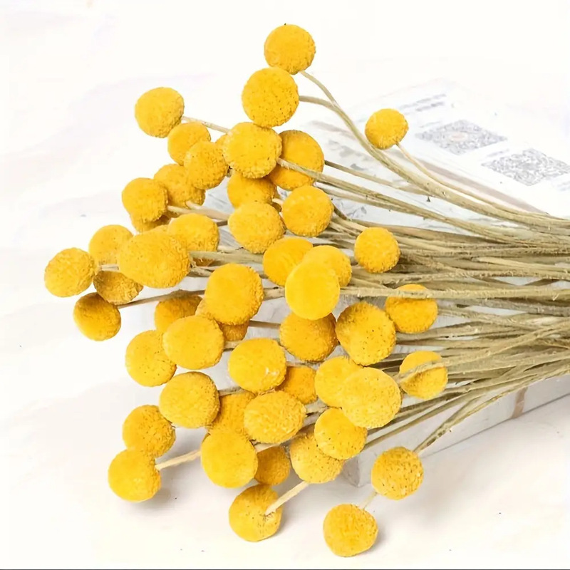 Gold Ball Belgian Ball Gold Dried Fruit Flower Immortal Flower Home Decoration Cross-Border Flower Material Immortal Bouquet Artificial Flower