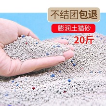 �F�N؈ɰ؈����Ʒ؈ɰ20��10���������Y�F�����͉m10���w��