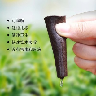 Planting Cotton Biochar Cotton Hydroponic Cotton Planting Blue Compatible Aerogarden Hydroponic Seedling Block