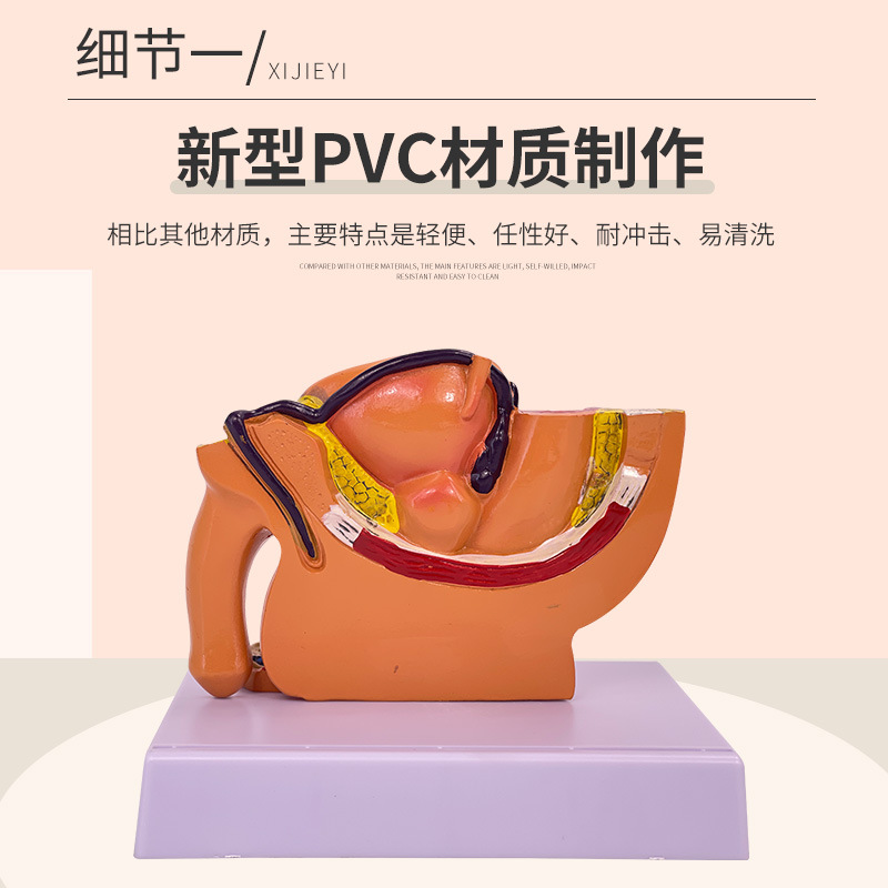 ����Ů����ǻʸ״����ģ��Ů����ֳ����ϵͳС��Ů����ǻ������ʾ