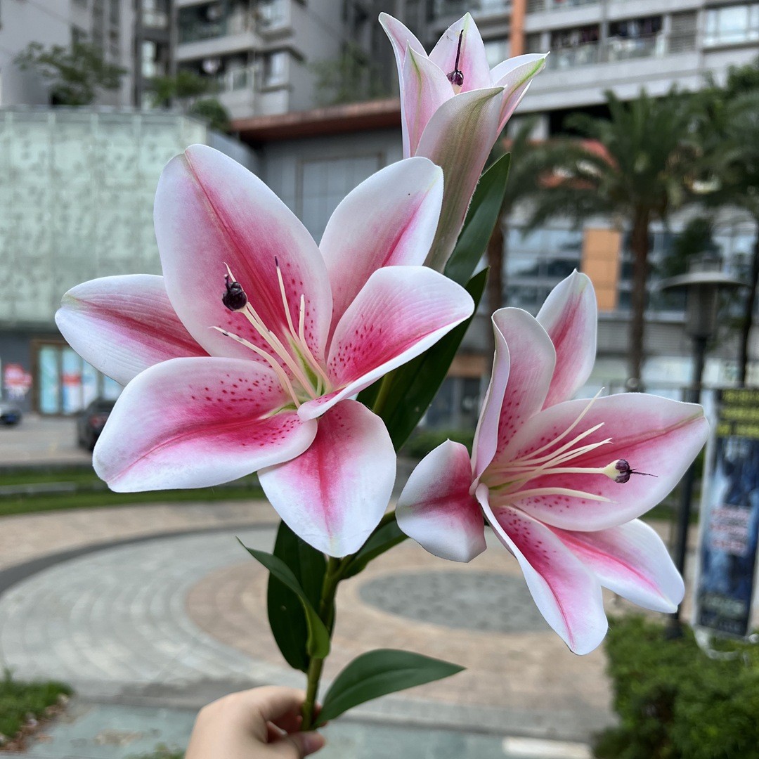 Simulación del Día de San Valentín rosa fabricante 3 sola rama multi-cabeza rosa decoración de la boda flor falsa al por mayor