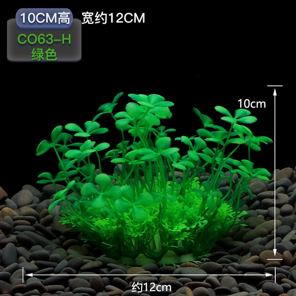 CO63-H【Green】