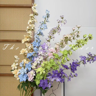 3���w���¿���滨 ��c��Y���쾰�廨��ꐲ��üٻ����_�m�b�