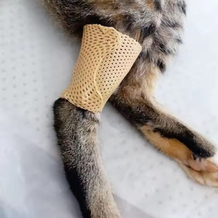 Pet Medical Correction Shaping Low Temperature Thermoplastic Plate Orthopedic Fixation Joint Fixation Plate