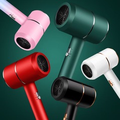ネット赤青光電ドライヤー寮小型家庭用ハンマーマイナスイオンヘアドライヤー代理プレゼント卸売り