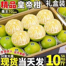 10整箱橘子直销皇帝斤广西大果柑当季老树礼盒现摘新鲜水果柑桔