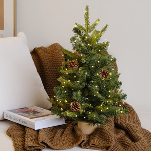 Xiaohongshu Popular Christmas Tree Naked Tree Mini Centella Asiatica Christmas Tree Christmas DIY Small Desktop Christmas Tree