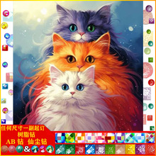 ����؈�ʯ��5D���|AB�ɉm��֬��ֹ�ճ�N�ʯ�̽�ʮ�ֽ����b�