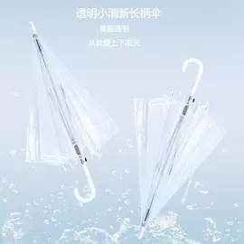 雨伞;晴雨伞;遮阳/太阳伞