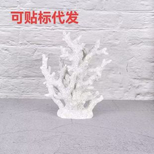 ���l����ɺ�����w�����~���쾰��ʘ�֬ɺ��ͥԺ�쾰�[���Ҿ��b�