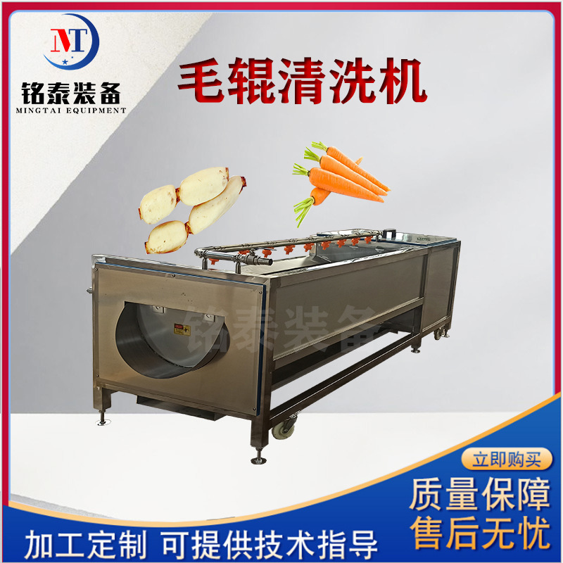 商用土豆去皮清洗机 马蹄毛辊清洗去皮机 桔梗去皮加工清洗设备