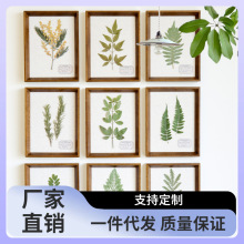 7Q56植物标本装饰画实木干花相框中古美式ins简约风腊叶挂画家居