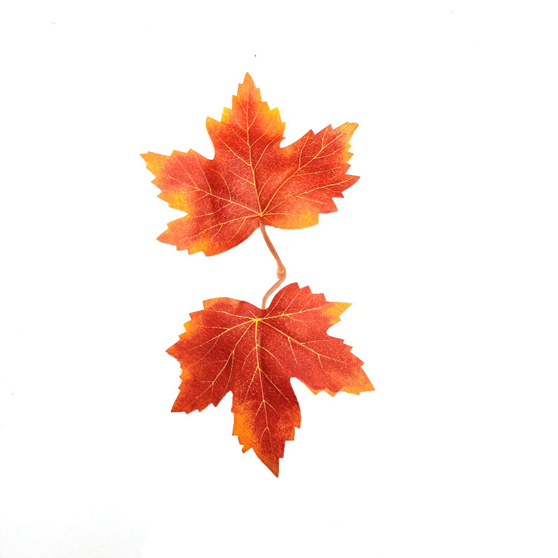 realistic maple leaf