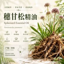 ����ɾ���ӡ�Ȯa�^���Ͱ�Ħ���ͷ����o�w�η�����ԭ�����l