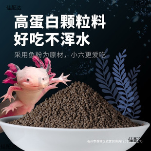 ���ǿ�����ϳԵĖ|���~ʳ�~�Zʳ���³��w����B�~�������Z