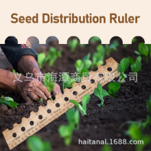 跨境新款 种子分配尺 种植尺木制播种园艺工具  种植分配蔬菜工具