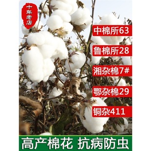 ���޻��������ʼ�ͥ����ֲ��Нh�޸߮a���x��������Nֲ�޻��N��