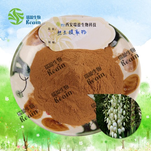 供应丝兰提取物10:1比例 丝兰皂甙 丝兰粉 丝兰提取物1kg起订