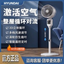 HYUNDAI��޹����ȼ���12H��ʱ��������ң��̨������ȿ���ѭ����
