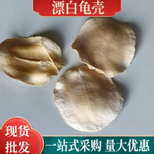 天然植物龟壳干花拍照道具桌面装饰摆件创意diy干花材料干果